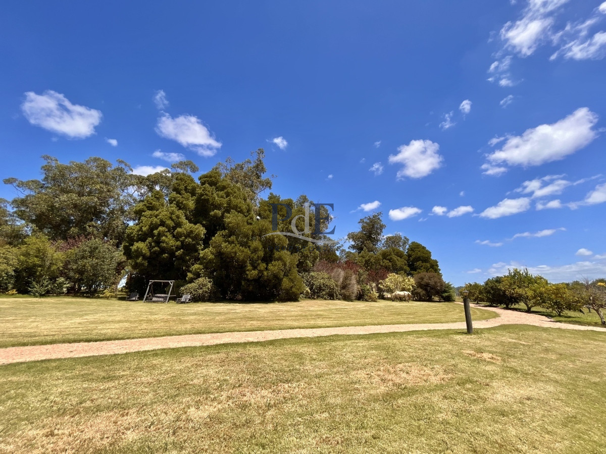 Chacra en Venta. Camino Benito Nardone | 18 Hectáreas - Imagen 78