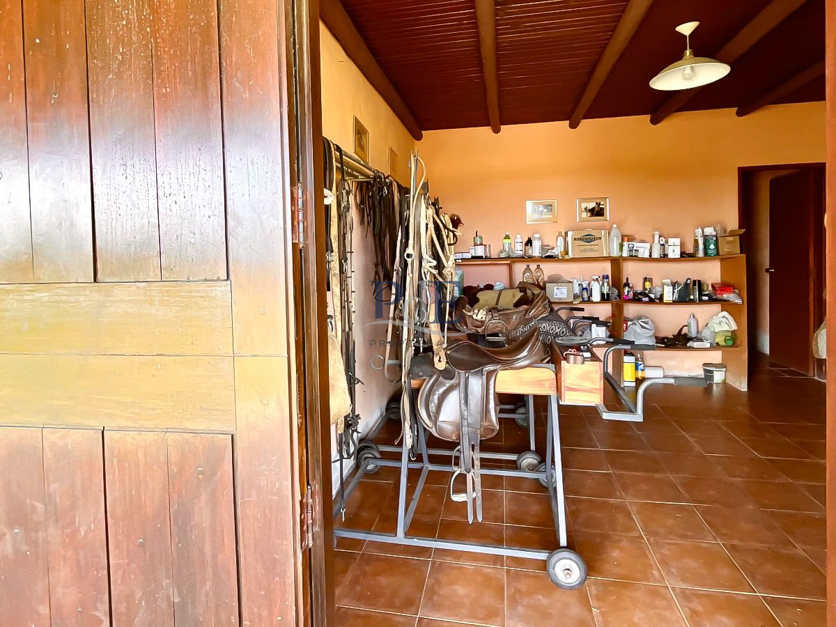 Chacra en Venta. Camino Benito Nardone | 18 Hectáreas - Imagen 69