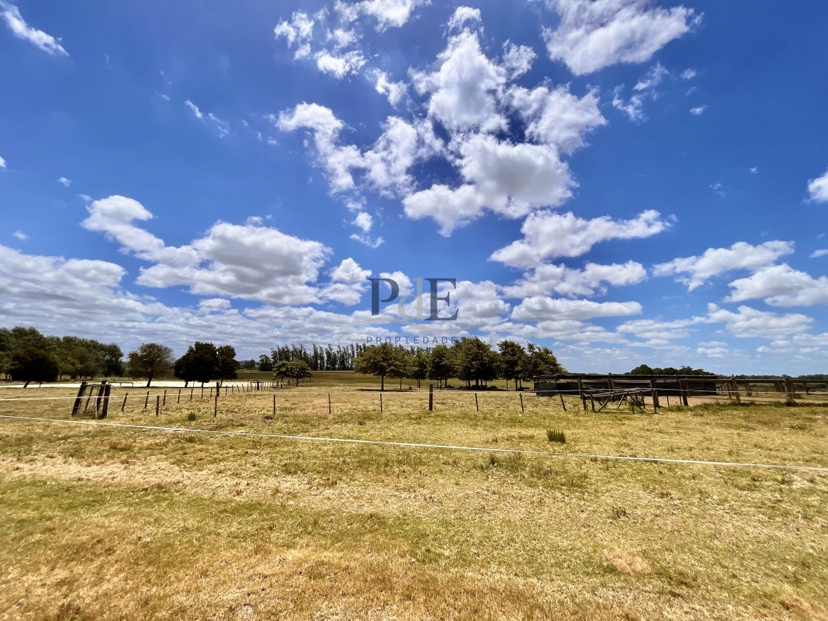 Chacra en Venta. Camino Benito Nardone | 18 Hectáreas - Imagen 73