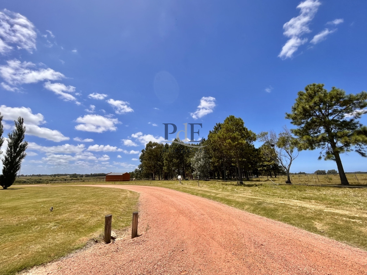 Chacra en Venta. Camino Benito Nardone | 18 Hectáreas - Imagen 75