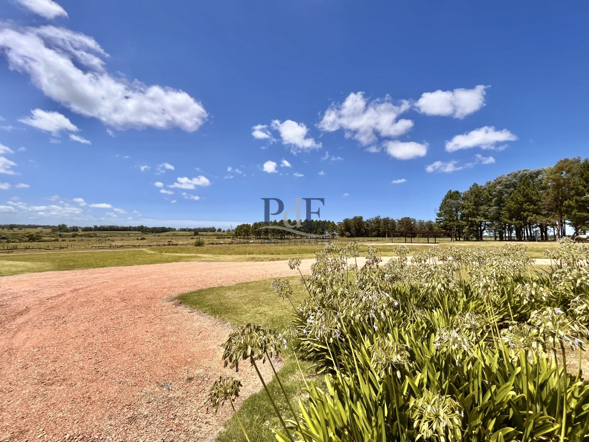 Chacra en Venta. Camino Benito Nardone | 18 Hectáreas - Imagen 77