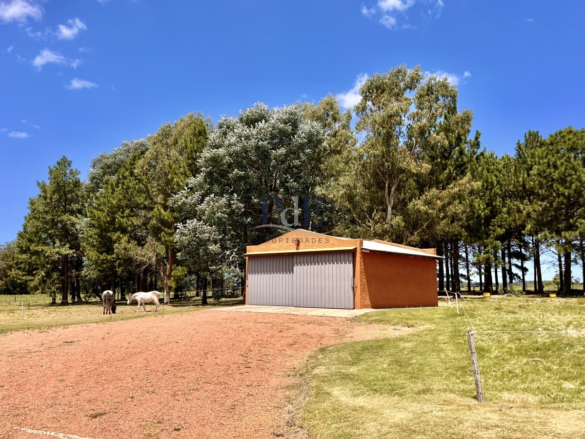 Chacra en Venta. Camino Benito Nardone | 18 Hectáreas - Imagen 62