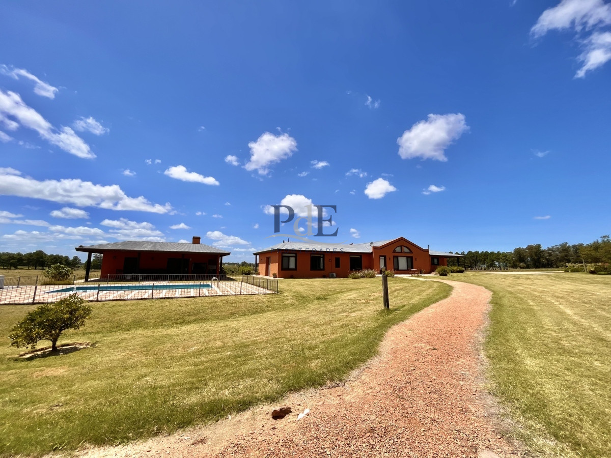 Chacra en Venta. Camino Benito Nardone | 18 Hectáreas - Imagen 41