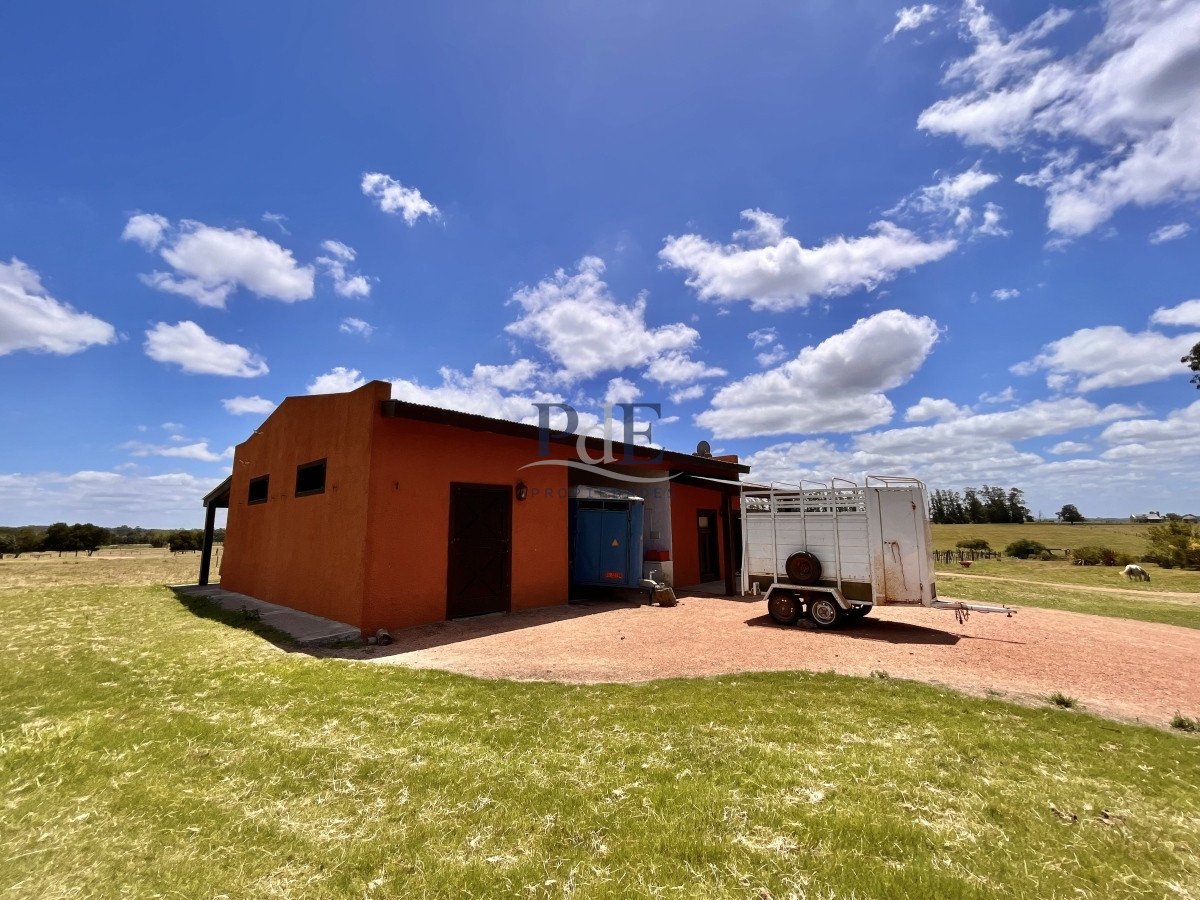 Chacra en Venta. Camino Benito Nardone | 18 Hectáreas - Imagen 58