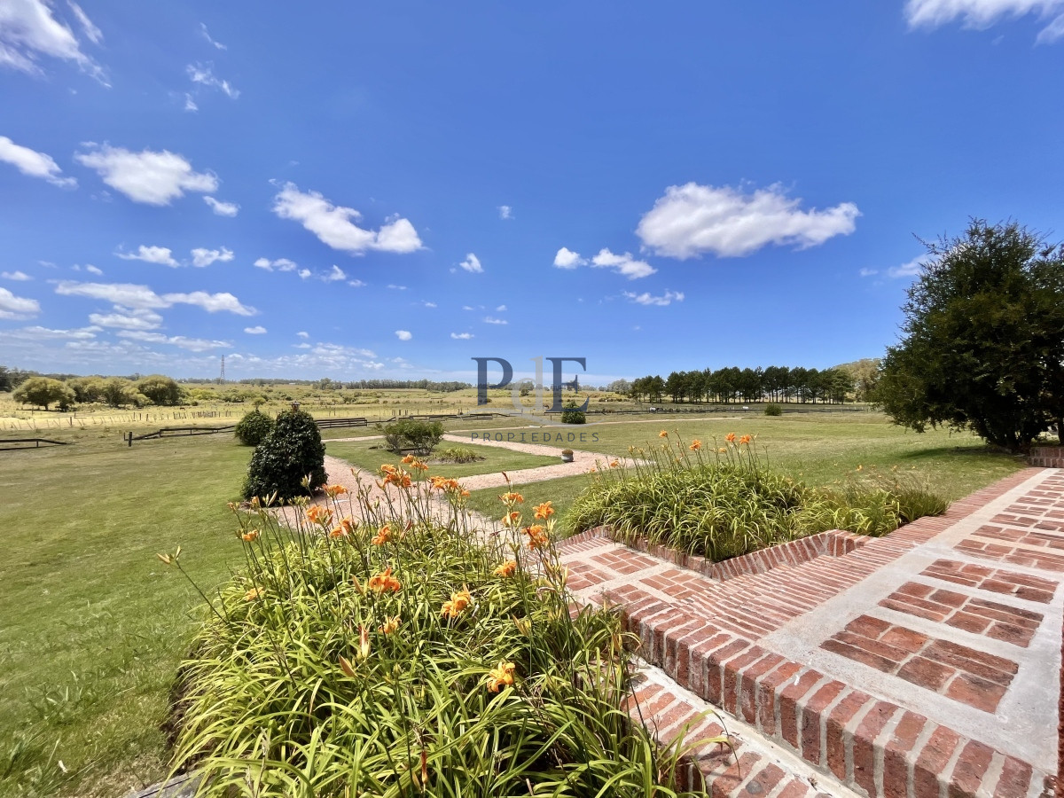 Chacra en Venta. Camino Benito Nardone | 18 Hectáreas - Imagen 53