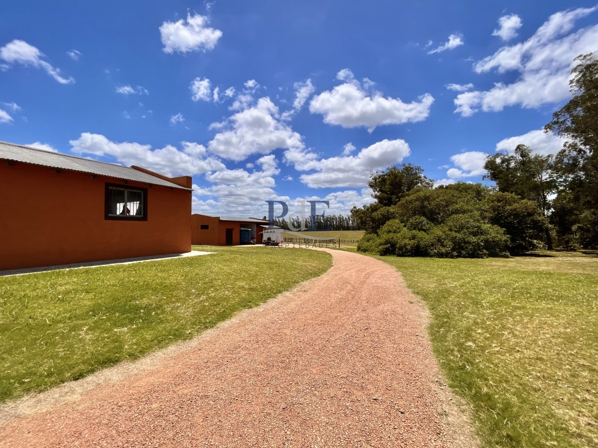 Chacra en Venta. Camino Benito Nardone | 18 Hectáreas - Imagen 59