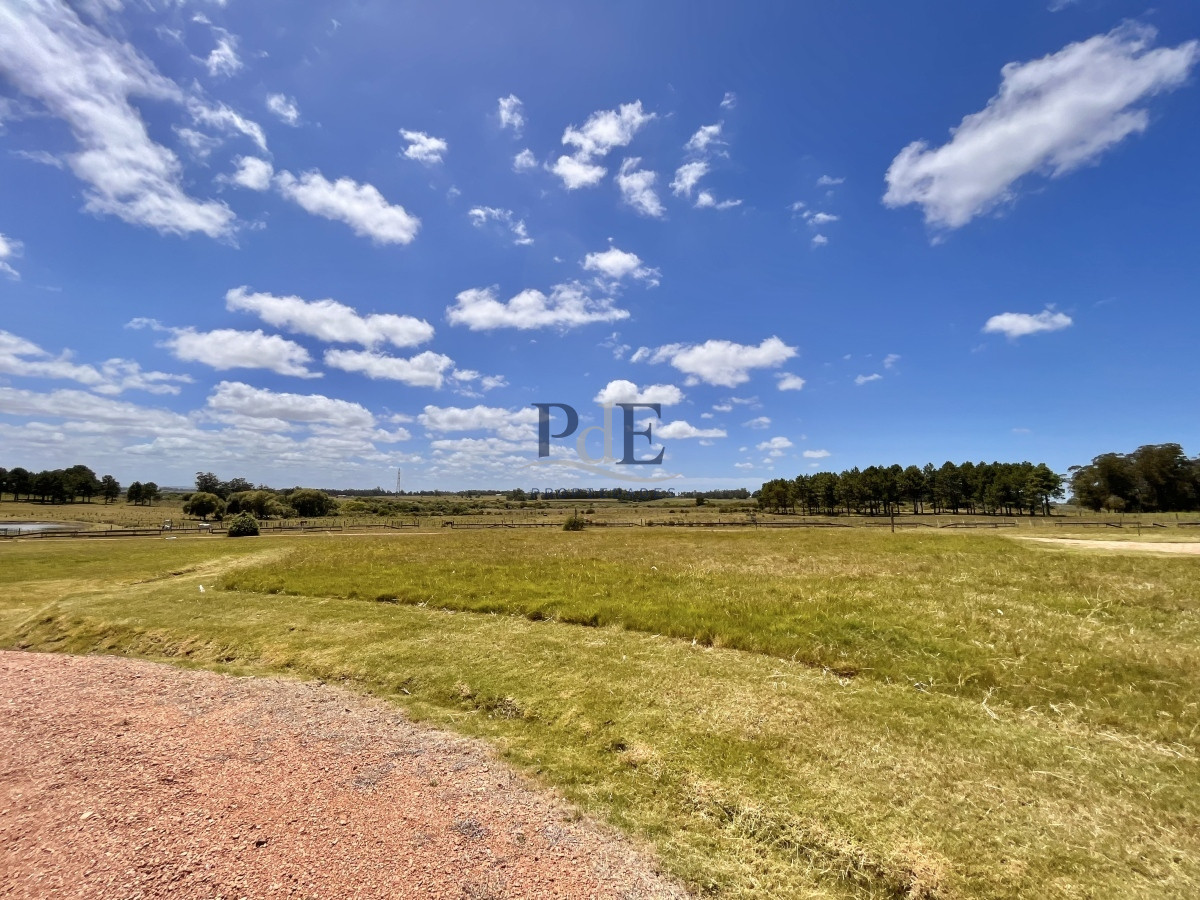 Chacra en Venta. Camino Benito Nardone | 18 Hectáreas - Imagen 76