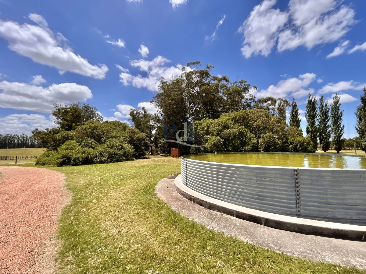 Chacra en Venta. Camino Benito Nardone | 18 Hectáreas - Imagen 61