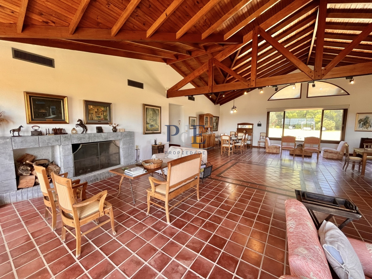 Chacra en Venta. Camino Benito Nardone | 18 Hectáreas - Imagen 10