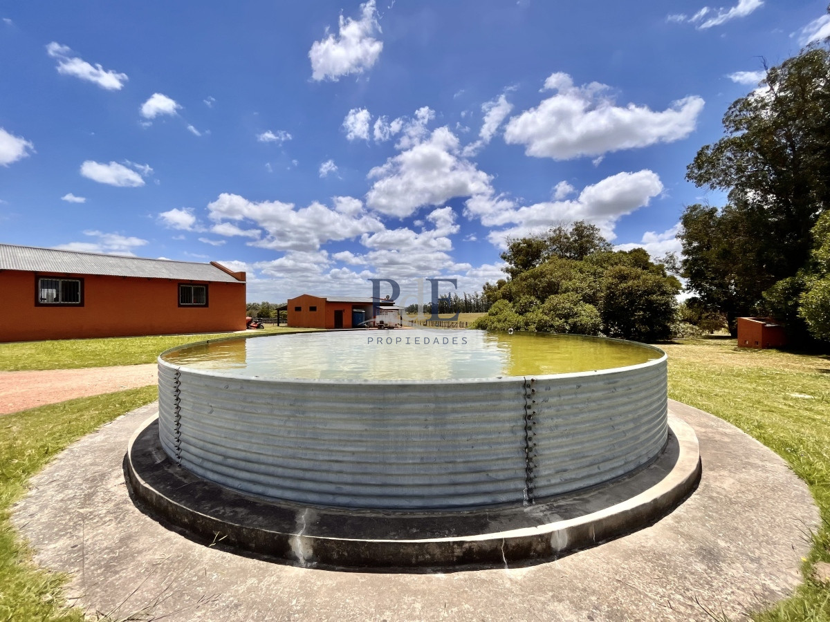 Chacra en Venta. Camino Benito Nardone | 18 Hectáreas - Imagen 60