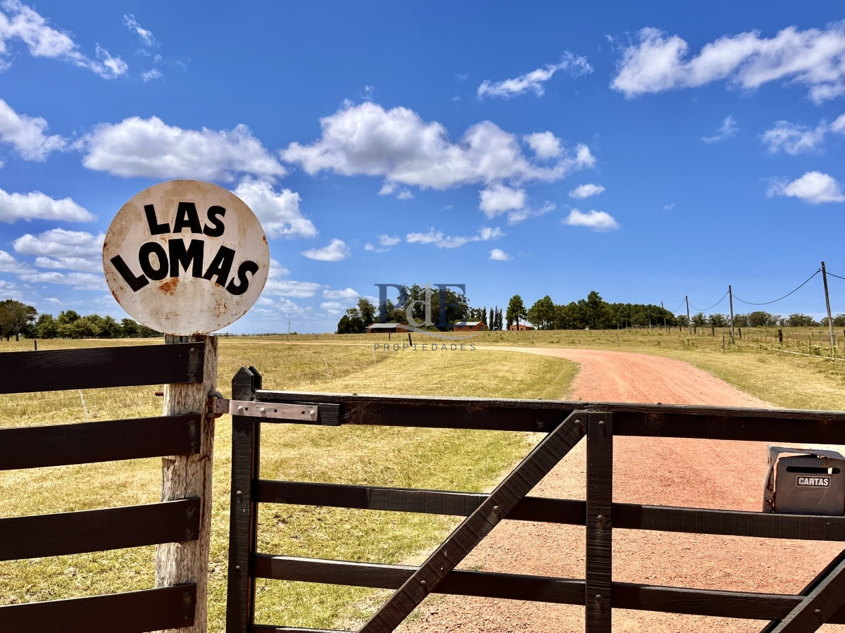 Chacra en Venta. Camino Benito Nardone | 18 Hectáreas - Imagen 87