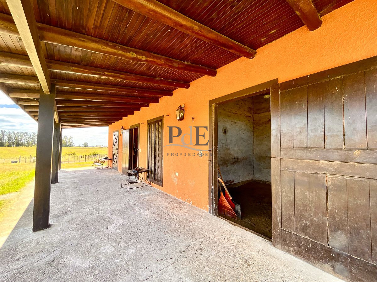 Chacra en Venta. Camino Benito Nardone | 18 Hectáreas - Imagen 68