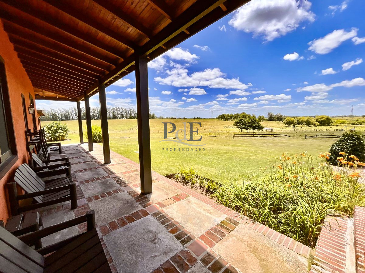 Chacra en Venta. Camino Benito Nardone | 18 Hectáreas - Imagen 36