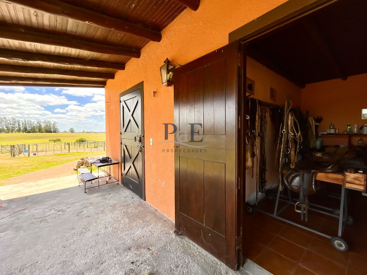 Chacra en Venta. Camino Benito Nardone | 18 Hectáreas - Imagen 70