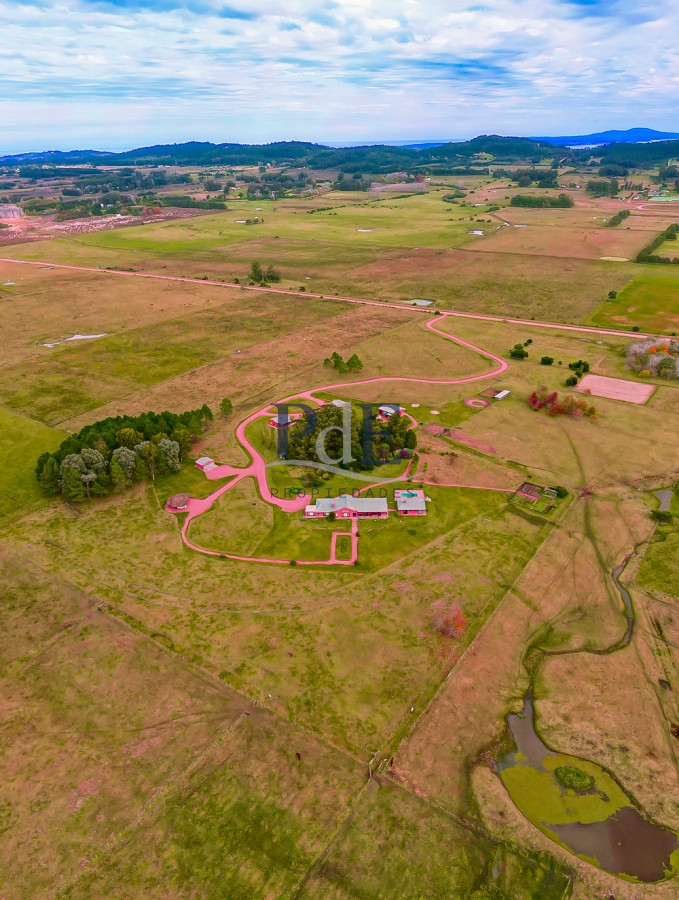 Chacra en Venta. Camino Benito Nardone | 18 Hectáreas - Imagen 2