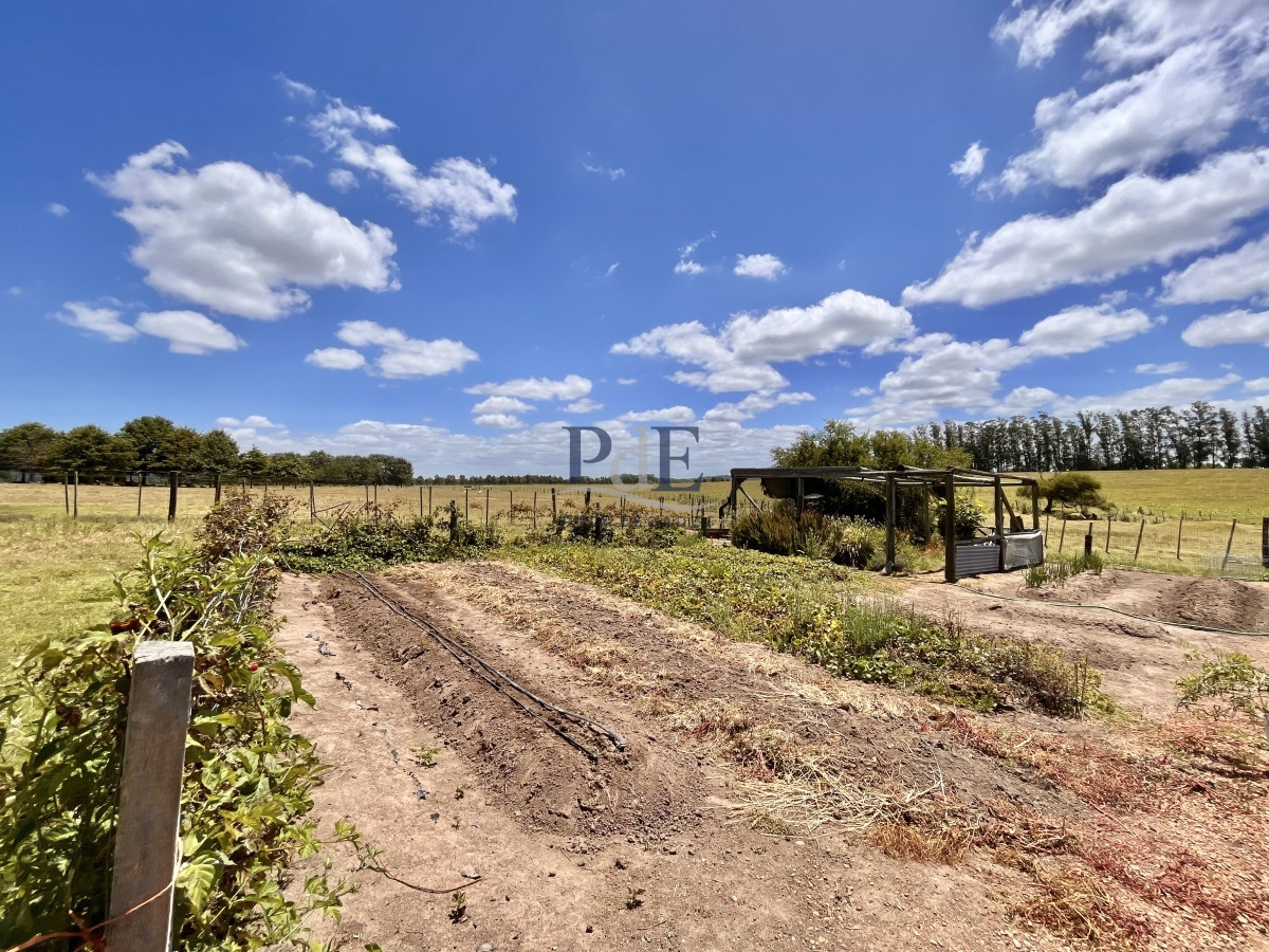 Chacra en Venta. Camino Benito Nardone | 18 Hectáreas - Imagen 83