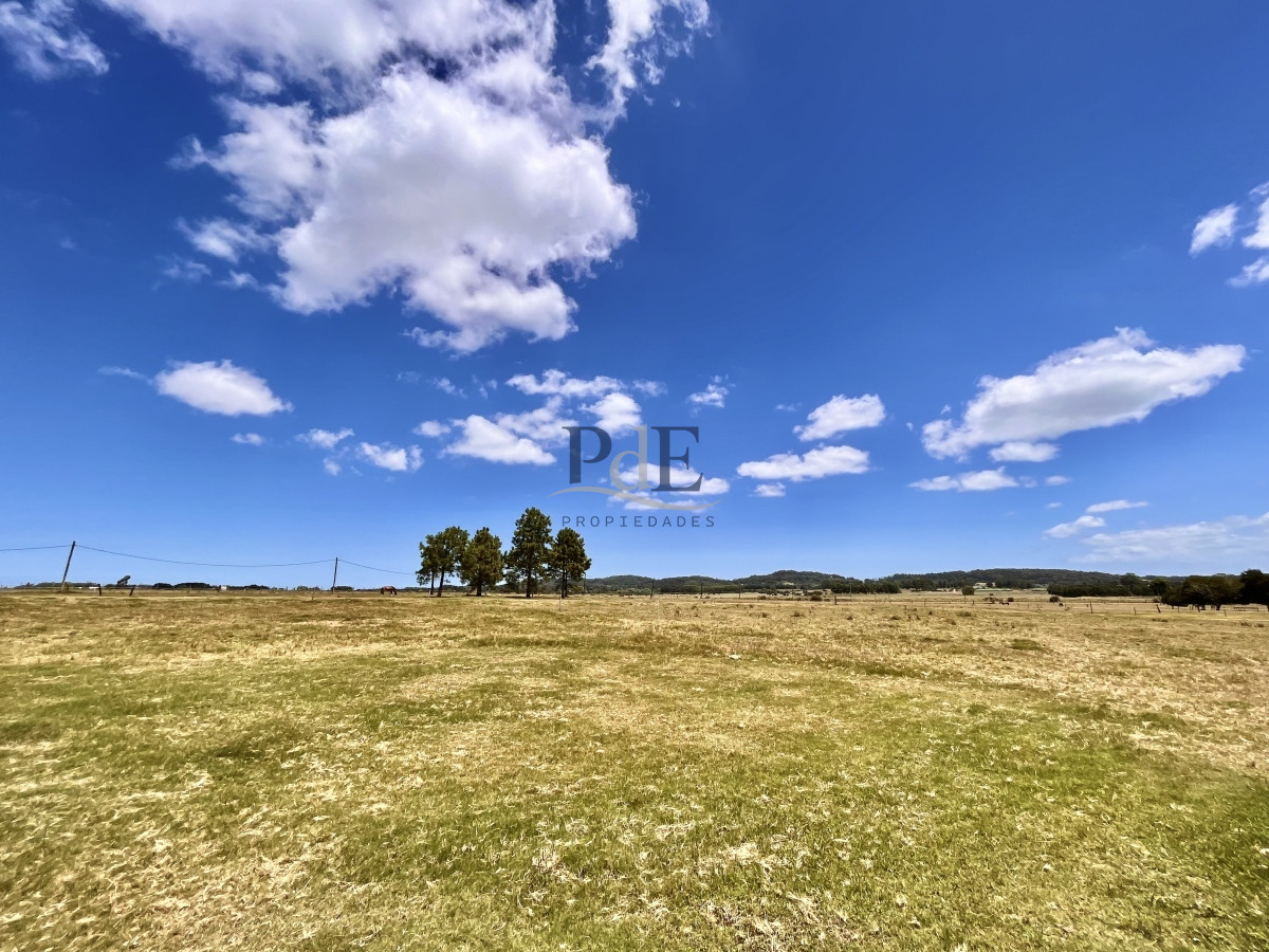 Chacra en Venta. Camino Benito Nardone | 18 Hectáreas - Imagen 72