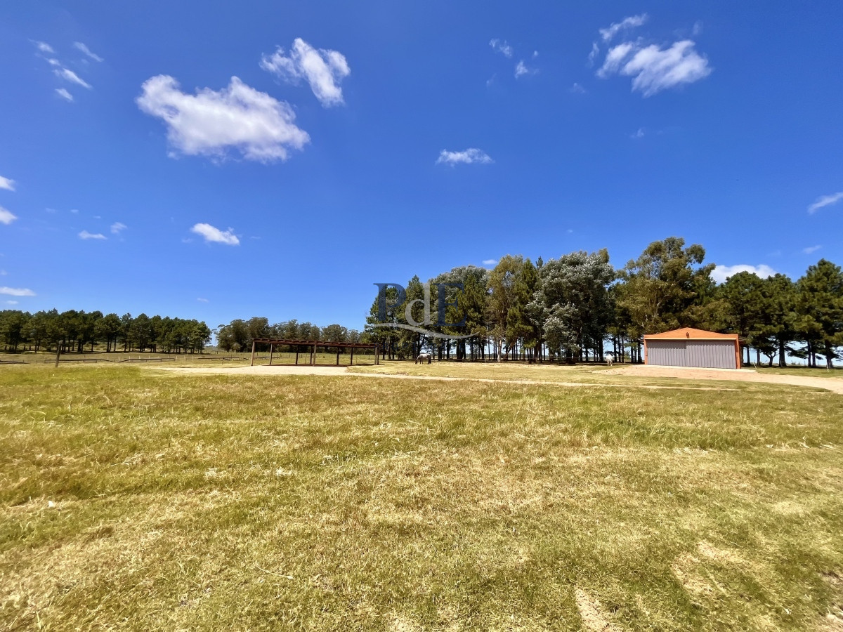 Chacra en Venta. Camino Benito Nardone | 18 Hectáreas - Imagen 63