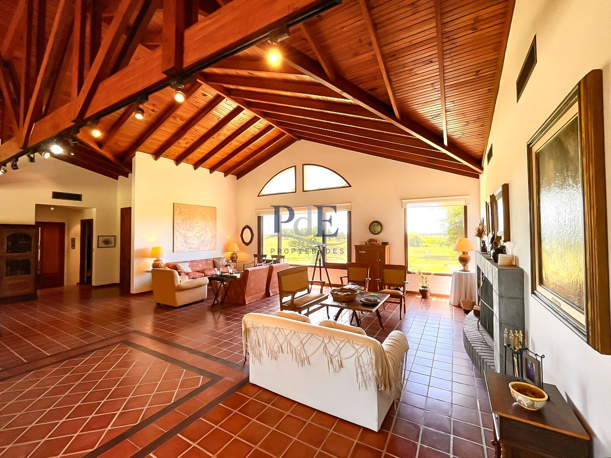 Chacra en Venta. Camino Benito Nardone | 18 Hectáreas - Imagen 4