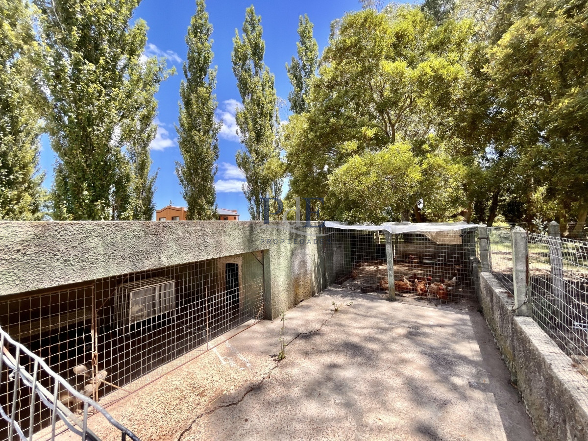 Chacra en Venta. Camino Benito Nardone | 18 Hectáreas - Imagen 74