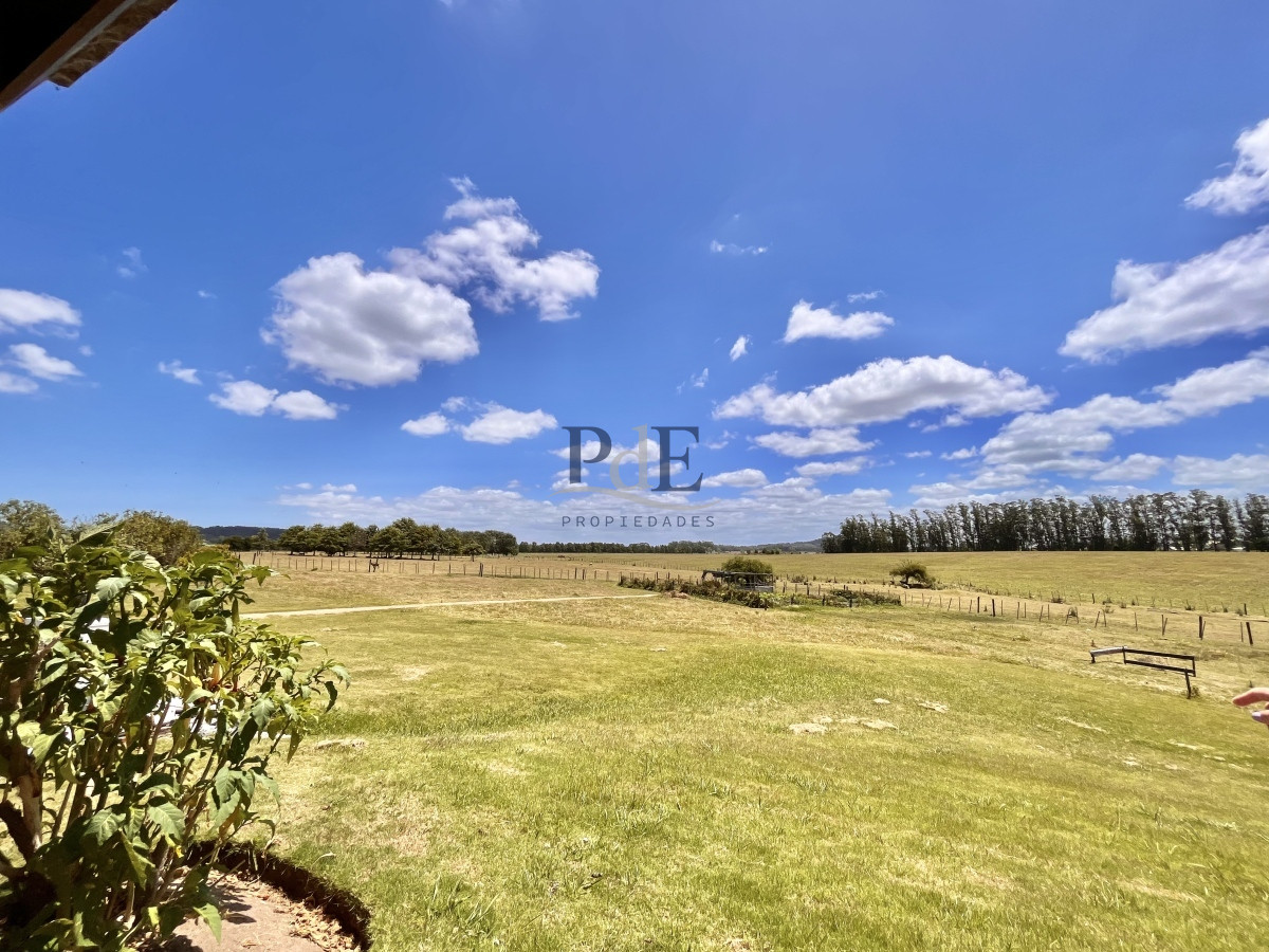 Chacra en Venta. Camino Benito Nardone | 18 Hectáreas - Imagen 79