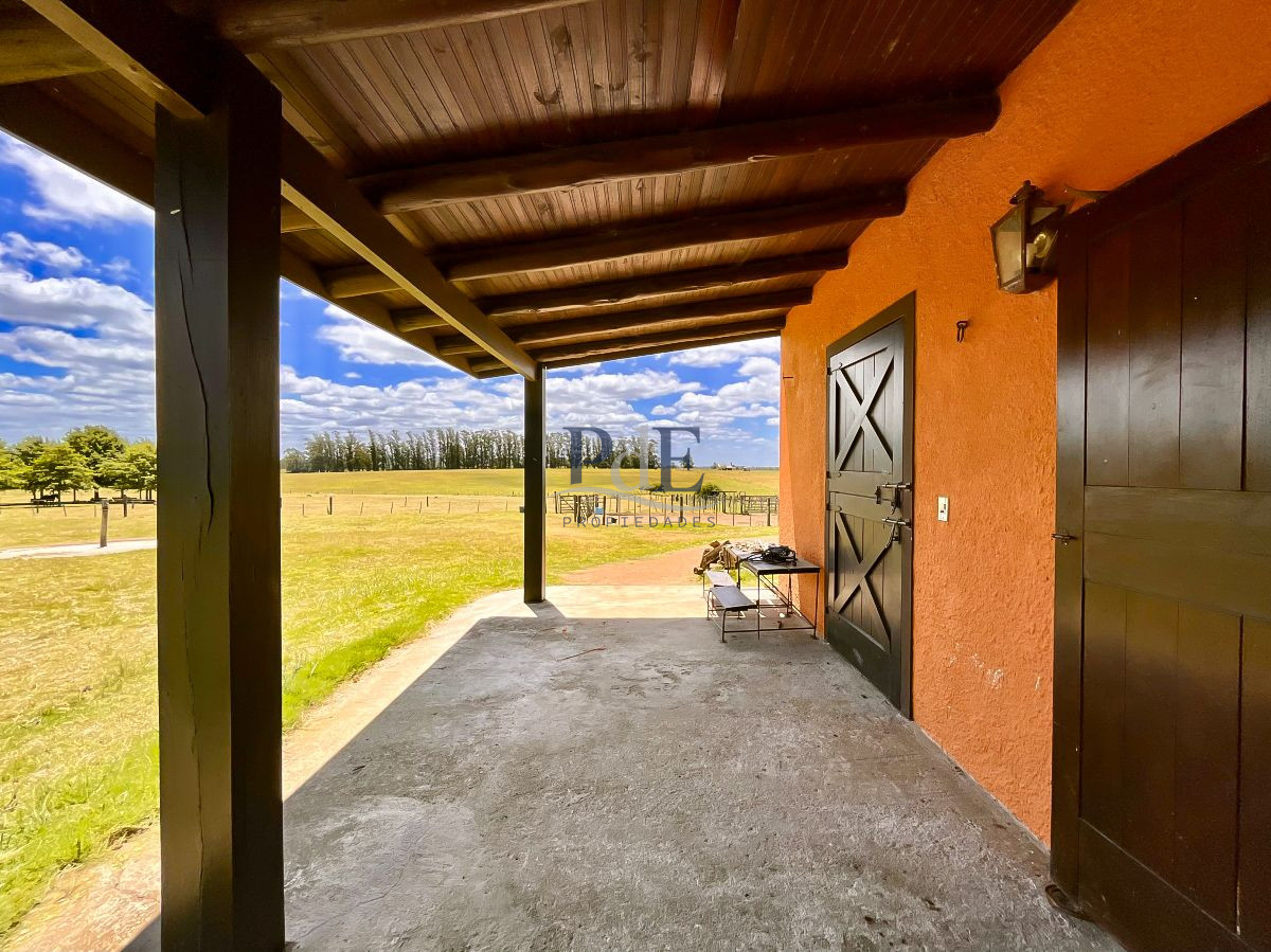 Chacra en Venta. Camino Benito Nardone | 18 Hectáreas - Imagen 66