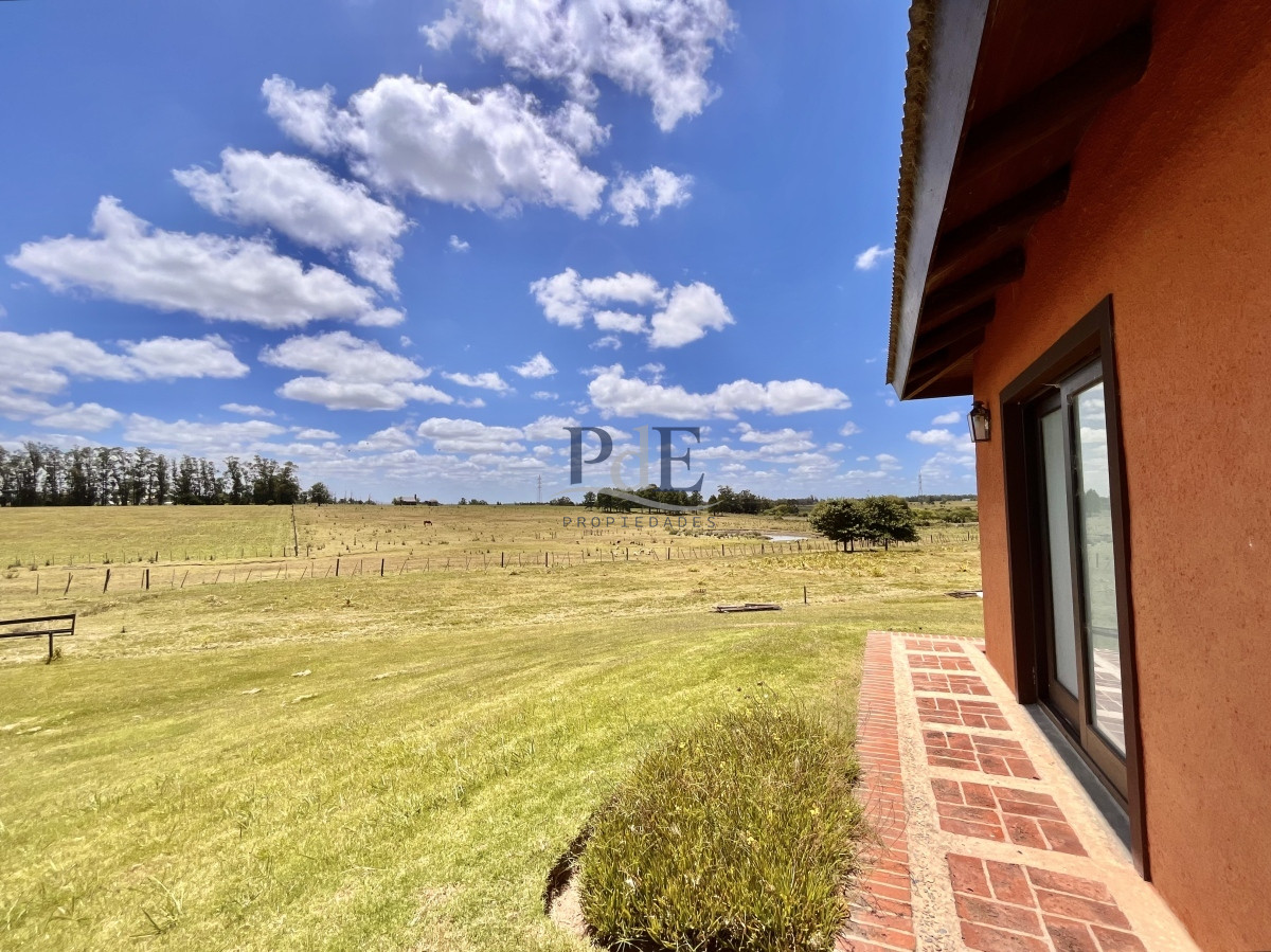 Chacra en Venta. Camino Benito Nardone | 18 Hectáreas - Imagen 49