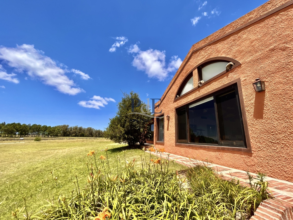 Chacra en Venta. Camino Benito Nardone | 18 Hectáreas - Imagen 48