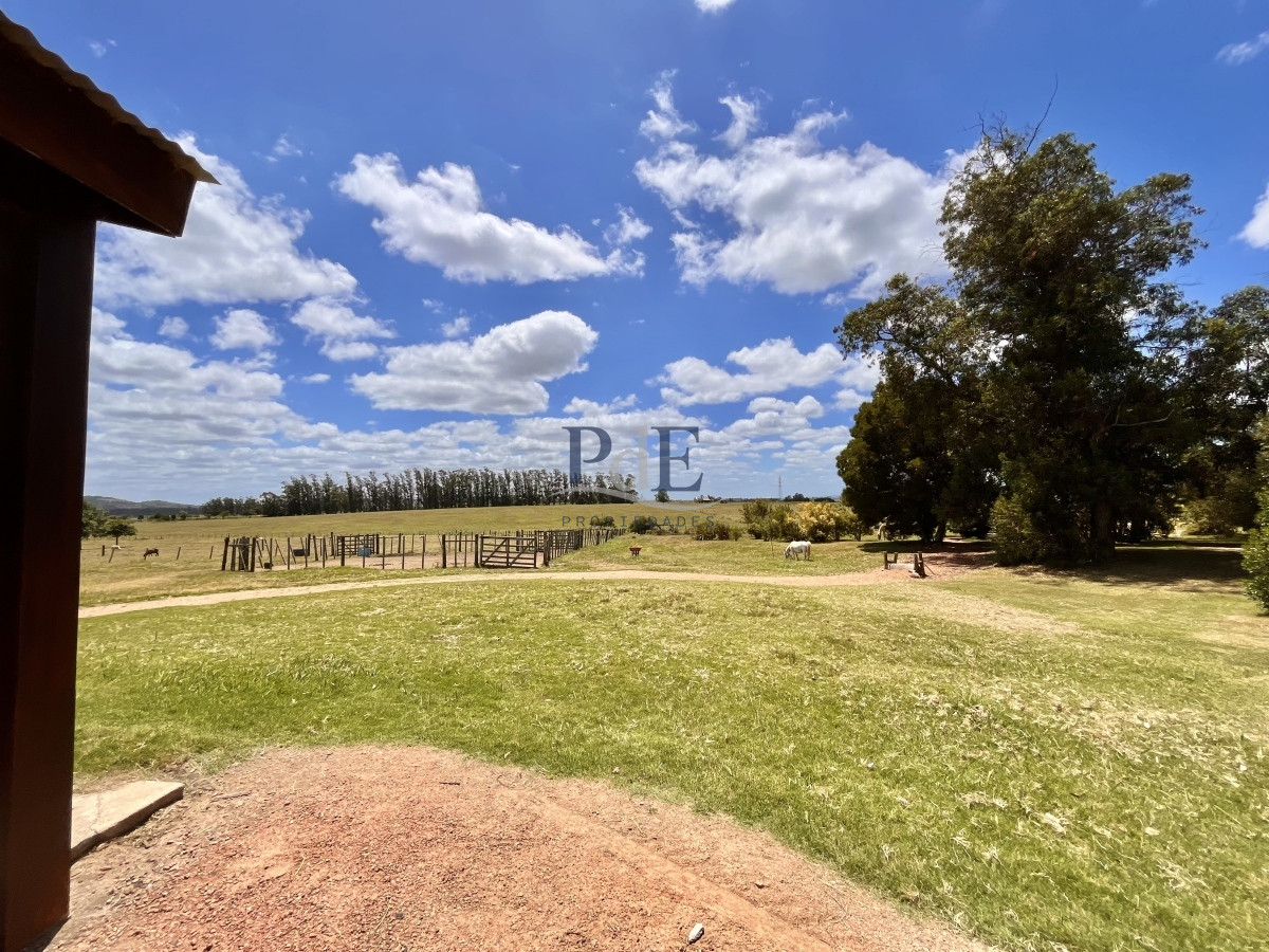 Chacra en Venta. Camino Benito Nardone | 18 Hectáreas - Imagen 55