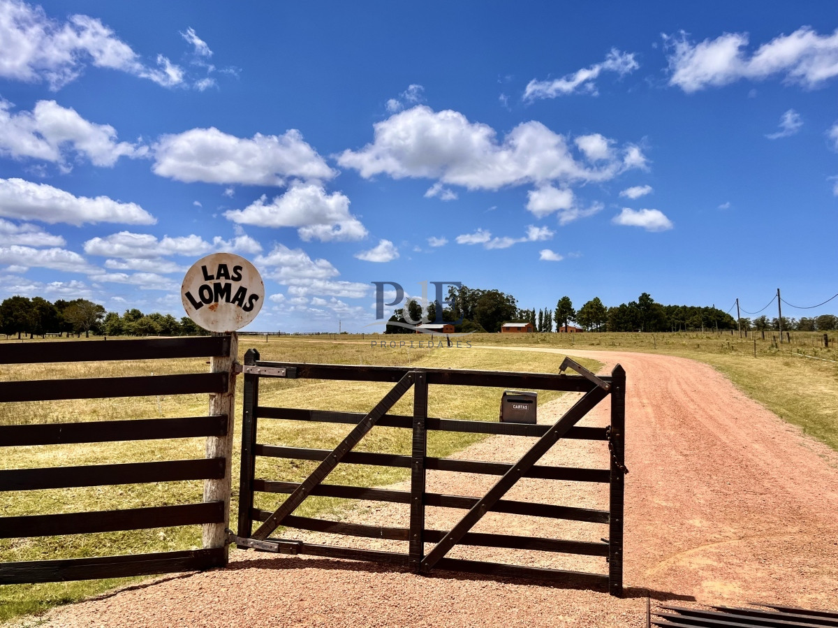 Chacra en Venta. Camino Benito Nardone | 18 Hectáreas - Imagen 86