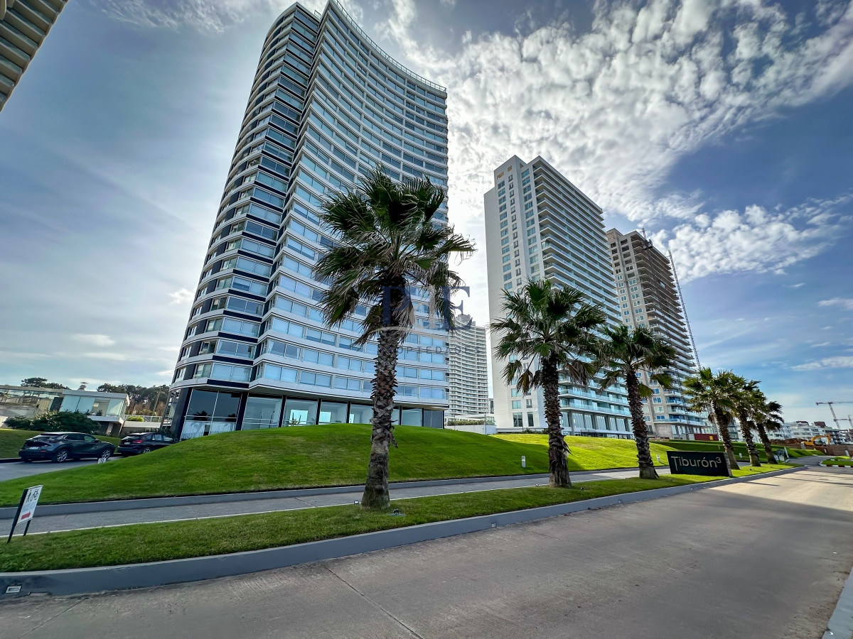 TIBURON III -Temporada 2025 y 2026. Categoría frente al mar - Imagen 33