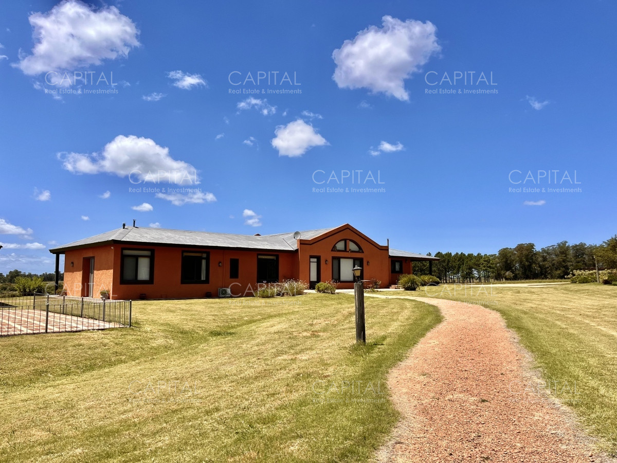 Chacra ID.36083 - Hermosa chacra a minutos de Punta del Este