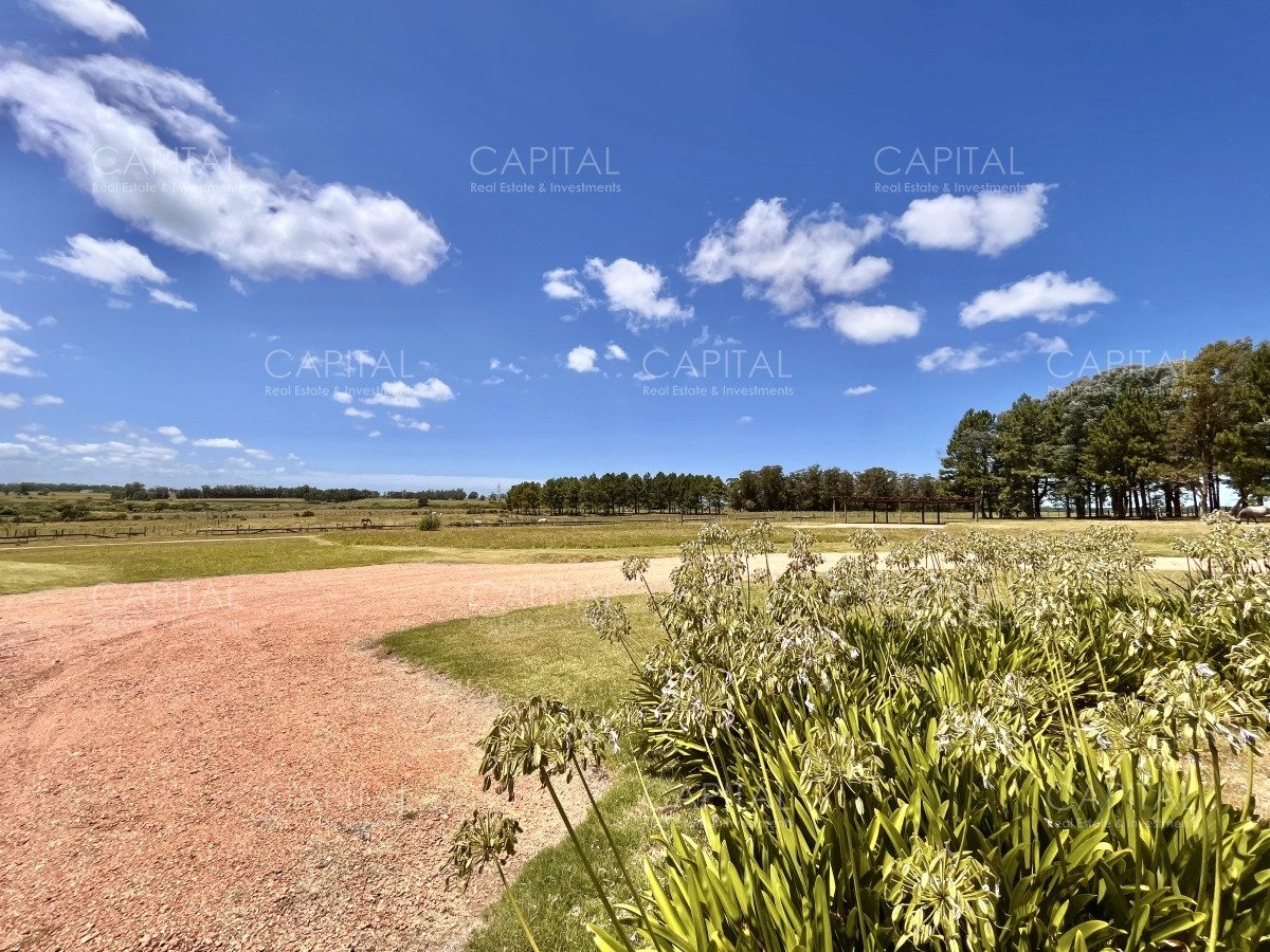 Chacra ID.36083 - Hermosa chacra a minutos de Punta del Este
