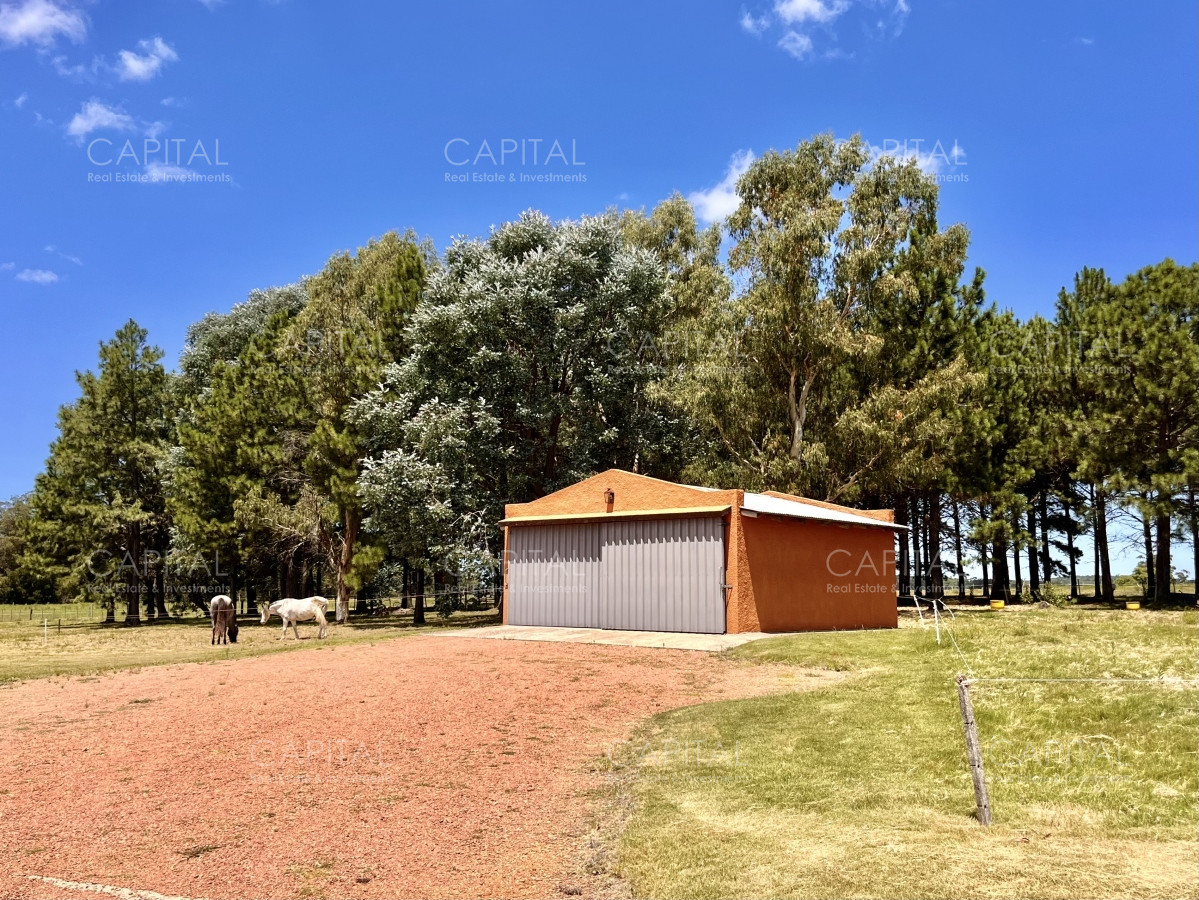 Chacra ID.36083 - Hermosa chacra a minutos de Punta del Este