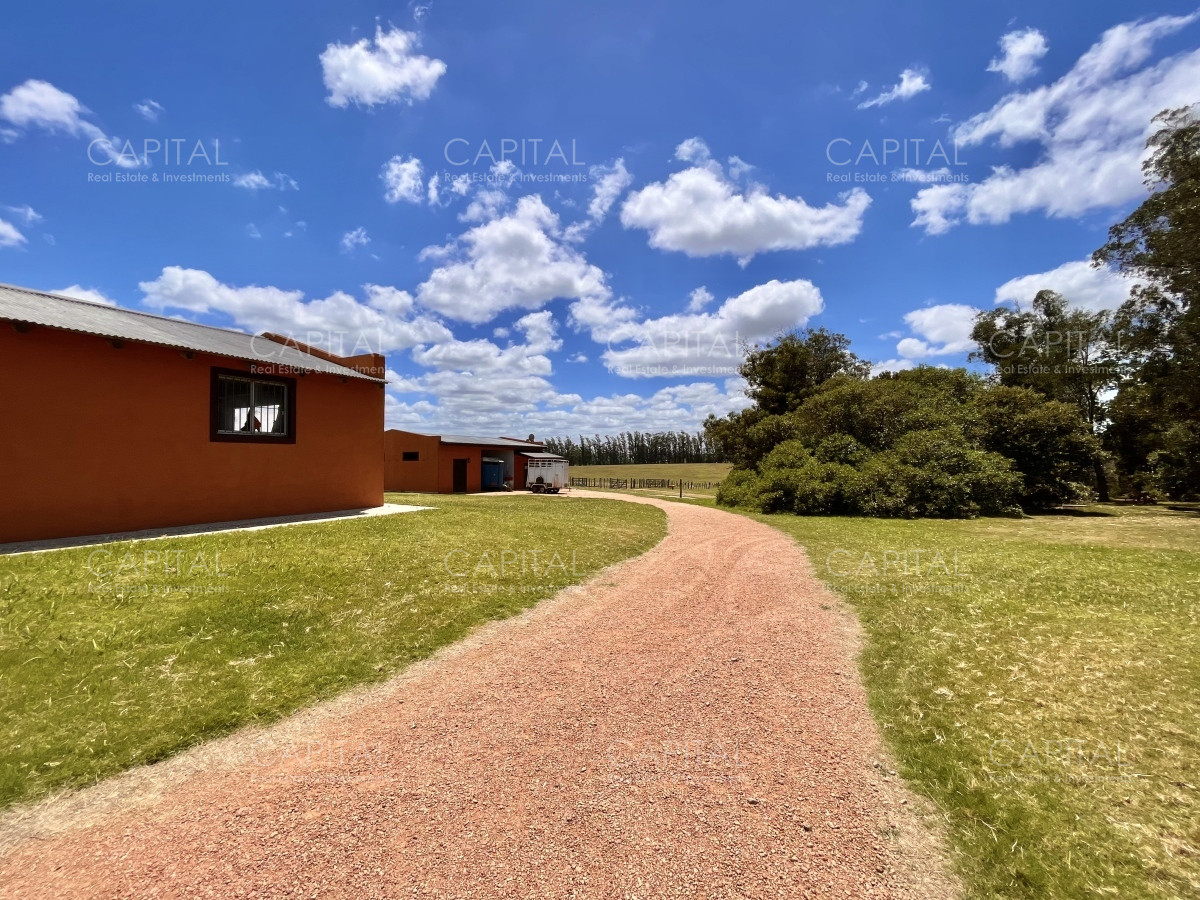 Chacra ID.36083 - Hermosa chacra a minutos de Punta del Este