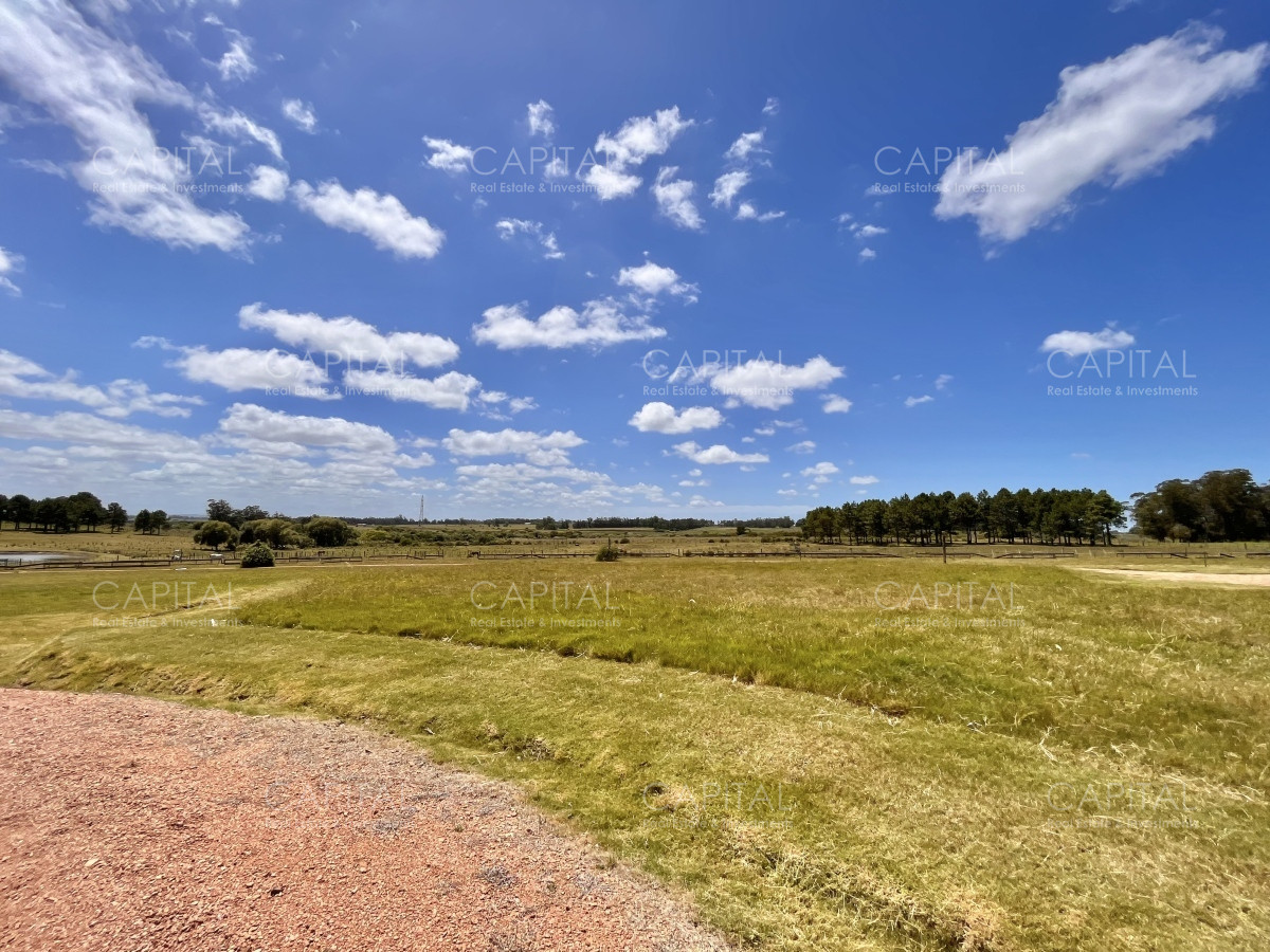 Chacra ID.36083 - Hermosa chacra a minutos de Punta del Este
