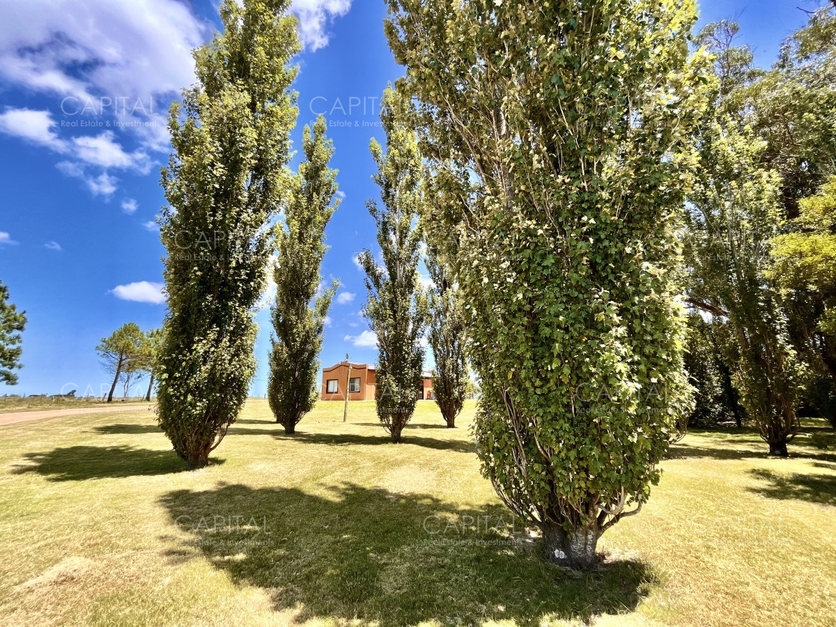Chacra ID.36083 - Hermosa chacra a minutos de Punta del Este