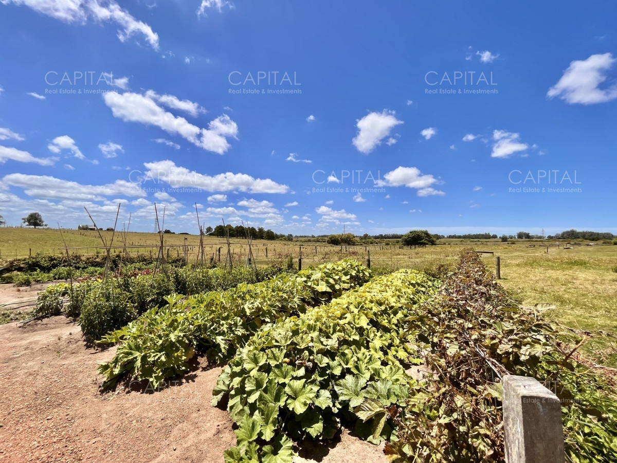 Chacra ID.36083 - Hermosa chacra a minutos de Punta del Este