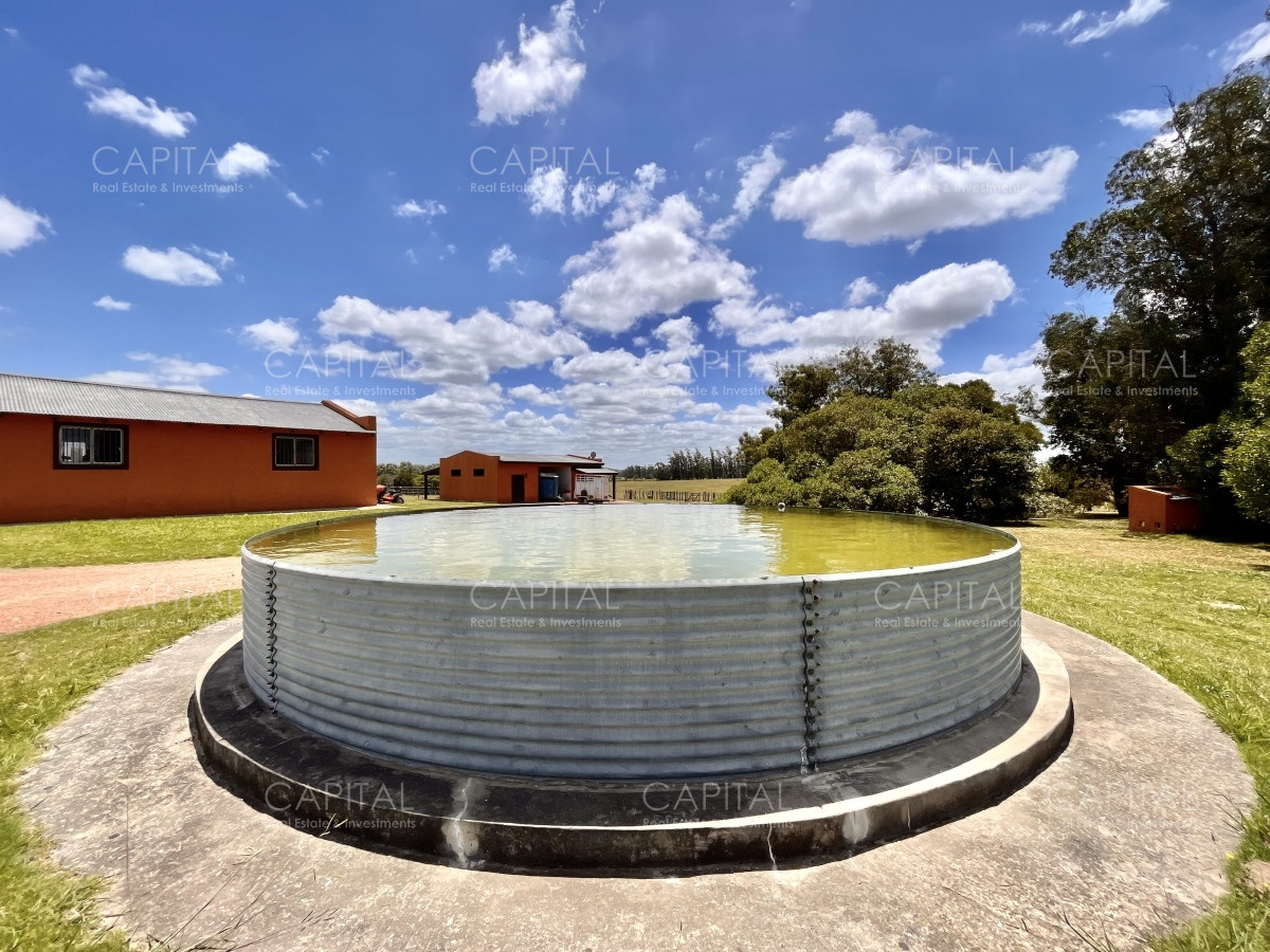 Chacra ID.36083 - Hermosa chacra a minutos de Punta del Este