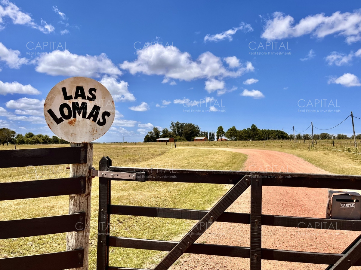 Chacra ID.36083 - Hermosa chacra a minutos de Punta del Este