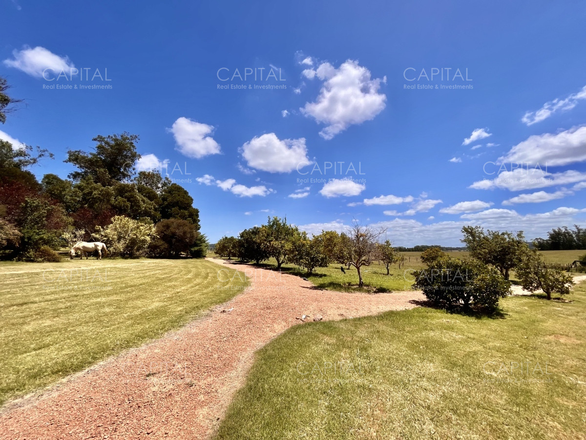 Chacra ID.36083 - Hermosa chacra a minutos de Punta del Este