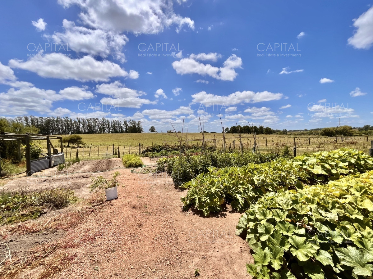 Chacra ID.36083 - Hermosa chacra a minutos de Punta del Este