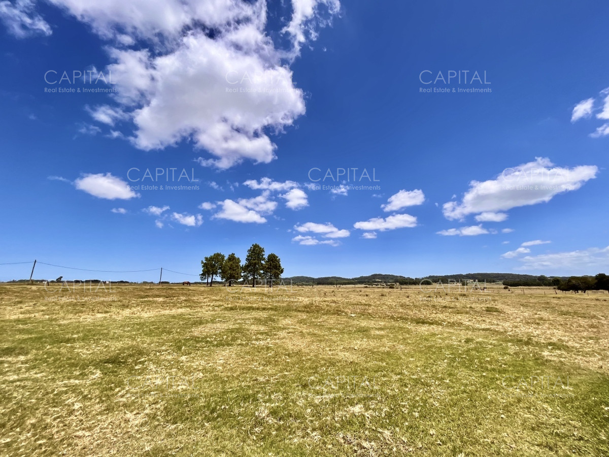 Chacra ID.36083 - Hermosa chacra a minutos de Punta del Este