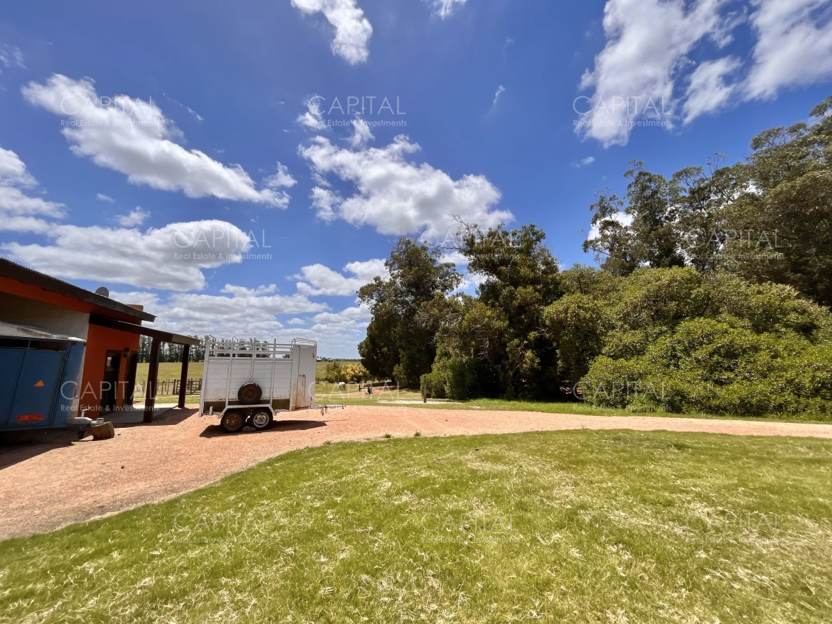 Chacra ID.36083 - Hermosa chacra a minutos de Punta del Este