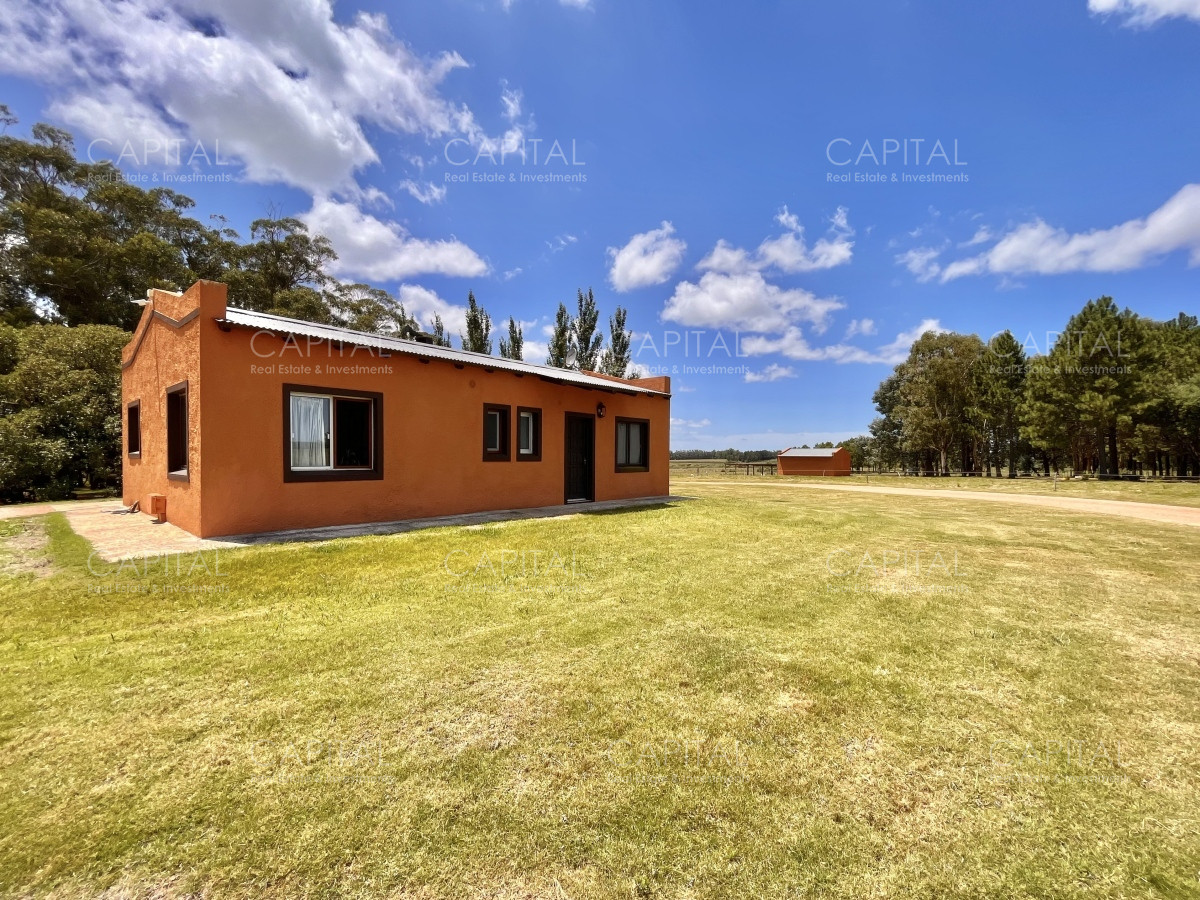 Chacra ID.36083 - Hermosa chacra a minutos de Punta del Este