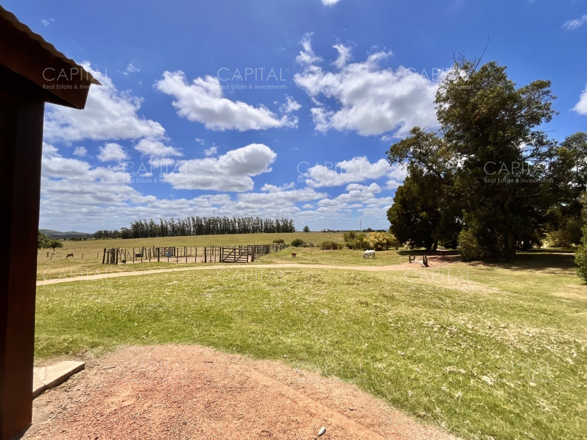 Chacra ID.36083 - Hermosa chacra a minutos de Punta del Este