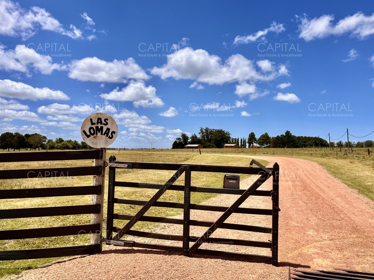 Chacra ID.36083 - Hermosa chacra a minutos de Punta del Este