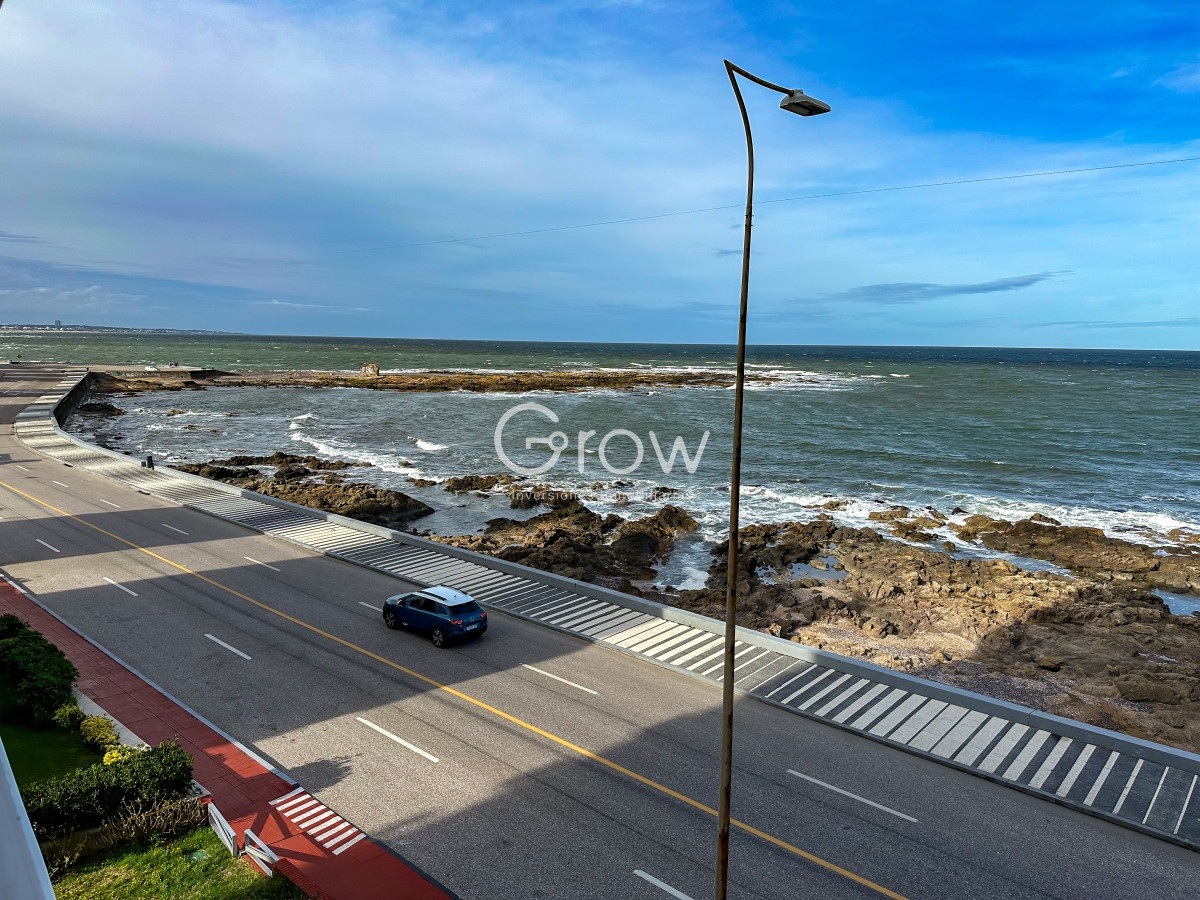 Apartamento ID.423 - Primera linea de peninsula, amplio departamento en venta
