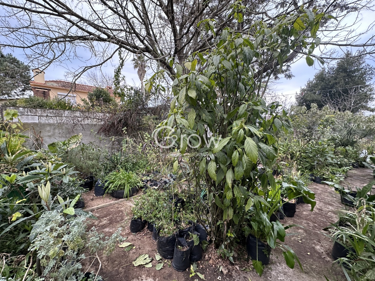 Casa ID.1878 - Hermosa casa en Pinares, Maldonado!