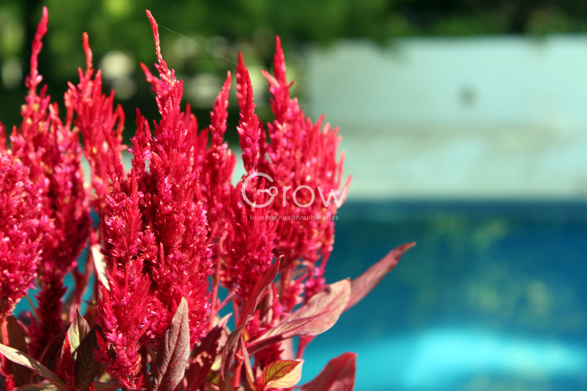 Casa ID.2838 - Casa en San Rafael